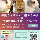保護うさぎ譲渡会 第36回 保護うさぎさんに逢おうの会in大阪【5/24】