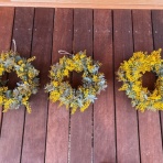 今治市民マンドリンアンサンブルのブログ