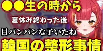 【ぶいすぽ】韓国での整形に対しての感覚を教えてくれるねこたつ