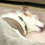 華・あず＆レン