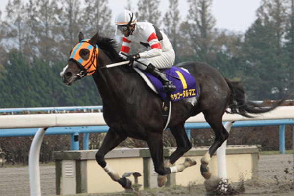 競馬予想 無料で全レース分読める 365日競馬速報 チャンピオンズカップ