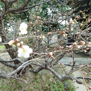 意識改革最前線の日々