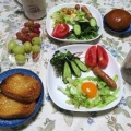 バンの雛、親鳥に餌を貰っています　～巣ごもり玉子の朝ご飯、丸亀製麺で晩ご飯～