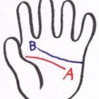 新春手相チェック 今年の運勢と子宝運 おのぼり主婦の暮らす見聞録