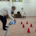 あるむ納涼祭
