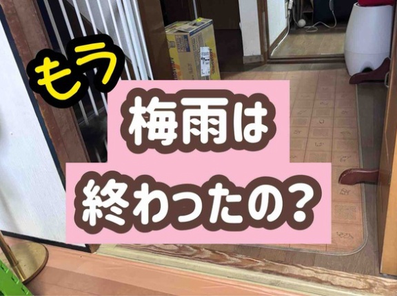 急に夏本番。