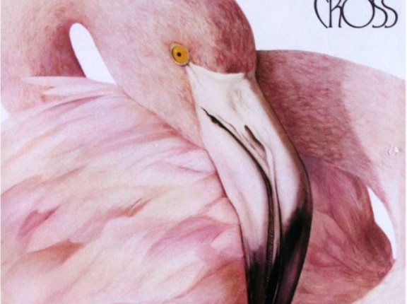 No Time For Talk / 悲しきメモリー（Christopher Cross / クリストファー・クロス）1983 ♯33