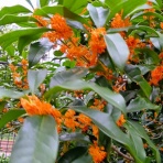 知りたいこといっぱい！