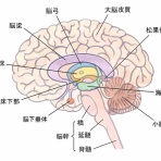 がんばれ受験生2026