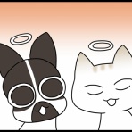 あぁ、トマコの生きる道