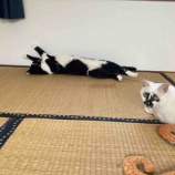 『店長の開き』の画像