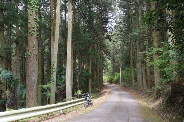 吉野川のほとりから - 吉野川