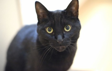 『2023年を振り返る　2023/12/31』の画像