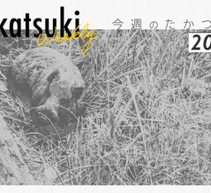 イオン高槻に牡蠣小屋がオープン予定だったり、ハートのベビーカステラ店がプレオープン予定だったり【今週のたかつき】