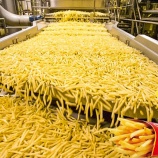 『フライドポテト工場の生産工程』の画像