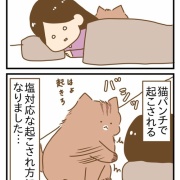 ちょっと悲しい⋯塩対応で起こされる朝