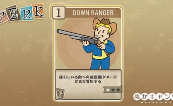Fallout 76：Down Ranger（Perception）
