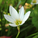 SNSのヘイトの本質の一端