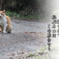動物被害あれこれ