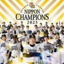 ニュースレター　11月号