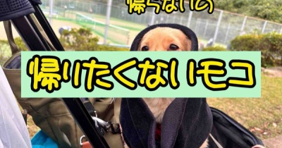 ドッグランに行ってきました。南郷上ノ山公園。