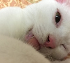 その時だけの表情　20260326