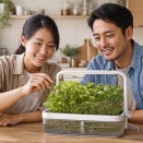 水耕栽培の始め方 完全手順 初心者でも失敗しないスタートガイド