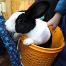 るりちゃん＆れお君