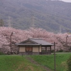 KAMONOMANIA　カモノマニア
