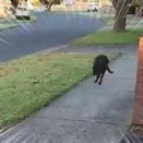 向かいから見知らぬ「母親」が走ってきた。ちょ、何か落としましたよ！ → 落としモノはこちらです…