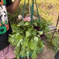 大人の遠足！