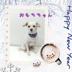 日々、ＪＡＭにあり