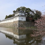 『長生きせえよ』の画像