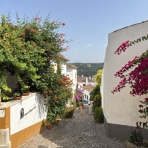 ＊わたしの旅行記＊