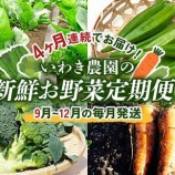 『ふるさと特産品　いわき農園の新鮮お野菜定期便』の画像