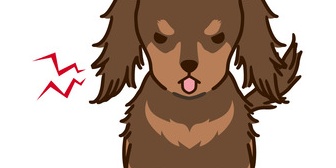 この間、19時頃に外から叫び声が聞こえてきたので喧嘩かと思いベランダから様子を見たら…