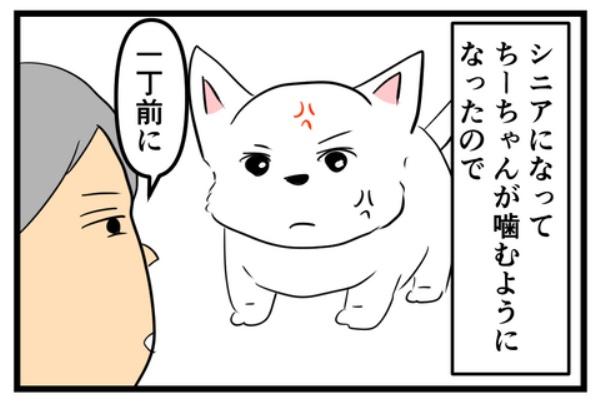 ちーちゃんです！ ちーちゃんですけどもっ第2巻発売中です❗️ (@ymc_cheezu) / Posts / X