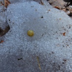 塩原温泉　彩つむぎ　女将の独り言