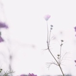 『弟が帰った後のもやもや（４）』の画像