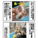 ビスコ 難治性口内炎・・