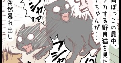 うちの飼い猫、ご乱心！？のまき