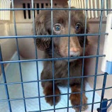 『病院のレントゲン検査で絶句した理由』の画像