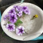 本当の自分の芽を育てる