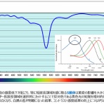 郡山市 眼鏡専門店Syozo  めがね日和
