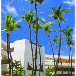 Artistic Hawaii 　アーティスティック・ハワイ