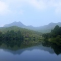 夏に咲く、古賀志山麓の花を求めて
