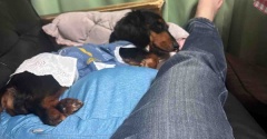 今日は一枚だけ。嵐の前の静けさか？