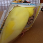 ピーコの日記