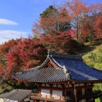 風景写真家・西川貴之の気まぐれブログ