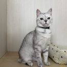 しらすちゃん、元気でね～